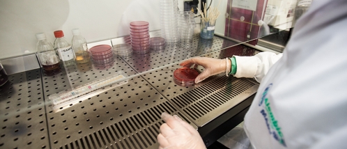 Kodak mais perto de estrear no setor farmacêutico
