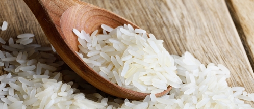 Arroz inteligente: variedade economiza até 50% de água no plantio